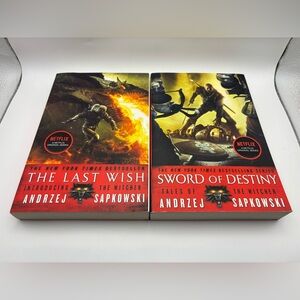 The Witcher Book Lot  – The Last Wish & Sword of Destiny – Andrzej Sapkowski